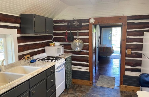 Bitely Cabin | Charming cabin with indoor Pickleball court! Unlimited access during the weekday