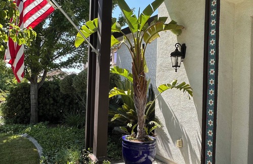 Rocklin Apartment | Charming Casita in a Tranquil Gated Community in Rocklin