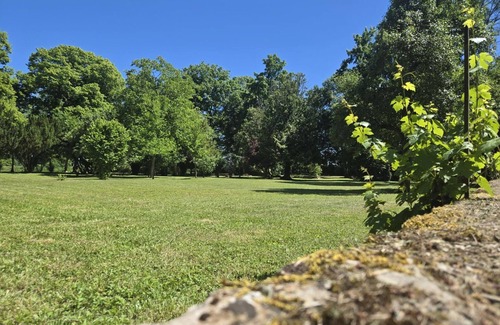 Souvigny Cottage | Charming Cottage in Souvigny, Private Garden, Pet Friendly
