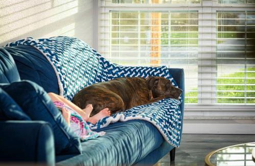 Seffner Community Alliance House | Charming Family Oasis ~ Dog-Friendly ~ Backyard
