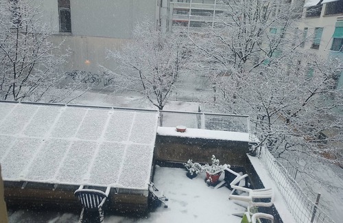 Paquis-Temple Apartment | Charming flat center and near the lake