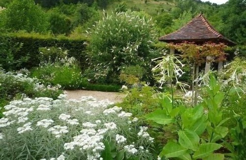 Thonnance-Les-Joinville Cottage | Charming B&B