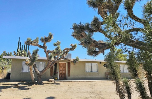 Yucca Valley House | Charming home in the heart of the Joshua Tree forest! Relax High Desert style.