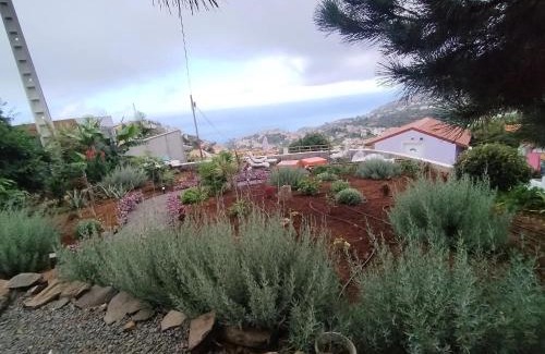 Ponta do Sol House | Charming lodge in Ponta do Sol with private pool