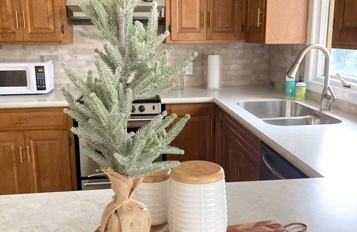 Walnut Creek House | Charming & quiet 2-bedroom house with WiFi and AC in Walnut Creek