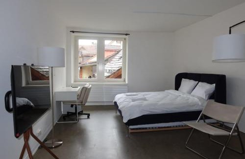 Aarau Apartment | Charming Studio 111 - Krone