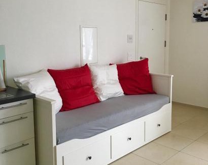 Ebikon Apartment | Charming Studio near Rotsee Lucerne Kitchen, WiFi, Washing machine