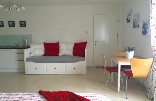 Ebikon Apartment | Charming Studio near Rotsee Lucerne Kitchen, WiFi, Washing machine