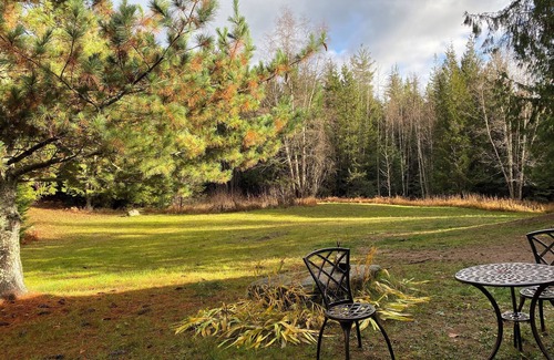 Boundary County Cabin | Charming yurt nestled in a private forest!