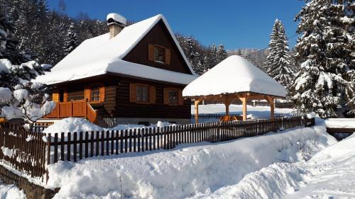 Oscadnica Ski Chalet | Chata IVA