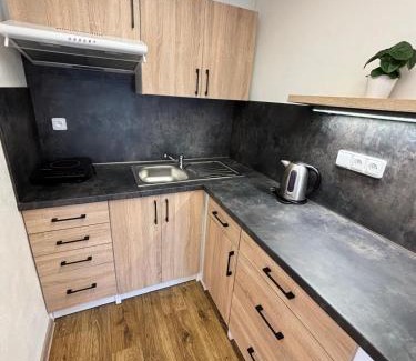 Hamry Apartment | Chata Jezevec - samostatný apartmán