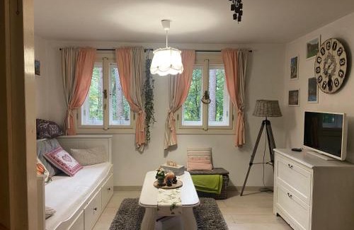 Hruba Skala Ski Chalet | Chata Monika