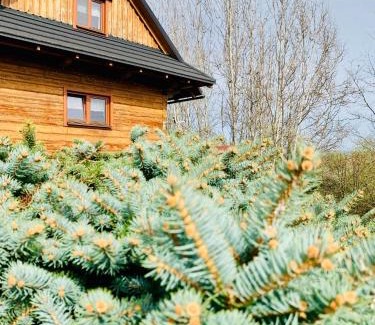 Rakova Cabin | Chata nad Briežkami