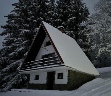 Rudnik Ski Chalet | Chata pod Černou horou