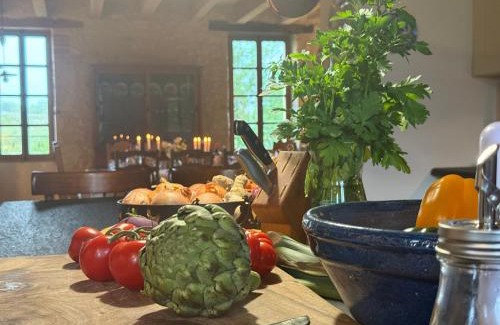 Fauroux Bed & Breakfast | Chateau de la Segue