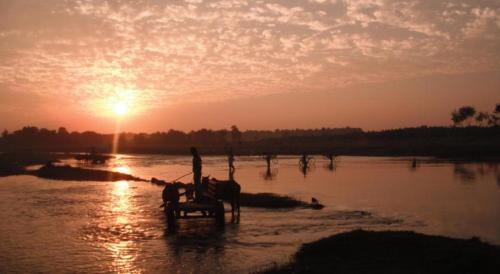 Sauraha House | Cheap Room finder service located in sauraha, hattichowk main road