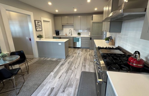 Historic Hill House | Cheerful 1 Bed/1 Bath/Dog friendly in the heart of Newport