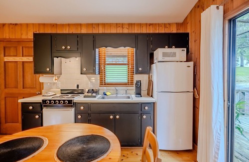Scaly Mountain Cabin | Cherokee Cabin | Jetted Tub | Fireplace