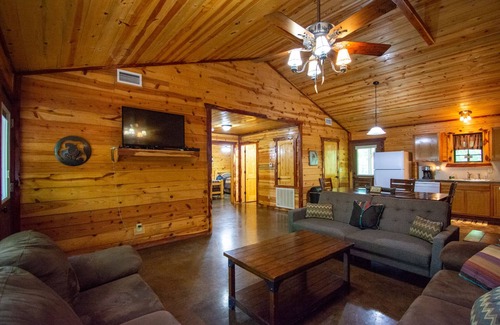 Board Camp Cabin | Cherokee Trail|18Acres|Private Creek|Swim|Hiking|ATV Trails|Mtn Cabin
