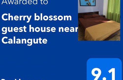 Nagoa House | Cherry blossom guest house