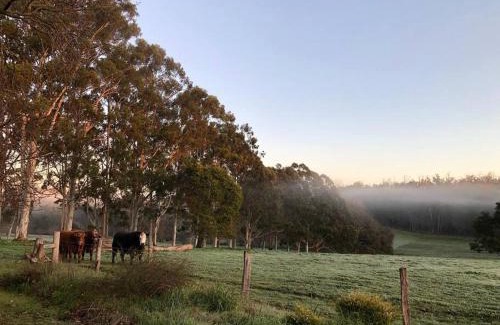 Dingup House | Cherswood Farm
