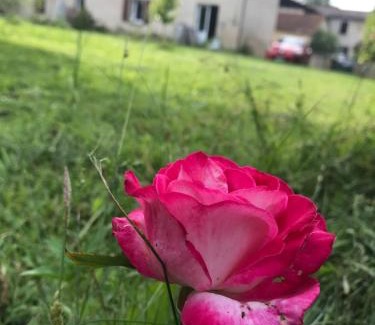 Mazerolles House | CHEZ BENOIT, Chambres chez l'habitant à la campagne