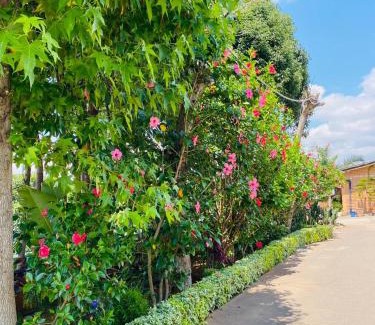 Ambohibao Hotel | Chez Jeanne Auberge Antananarivo