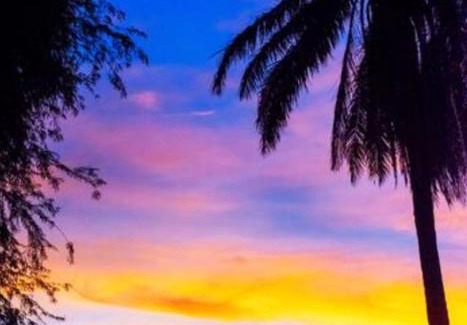 Santa Cruz Bed & Breakfast | Chez Lilly