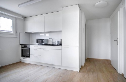 Altstetten Apartment | Chic Altstetten 1.5 Room w/Storage & W/D, nr Local Market, by Blueground