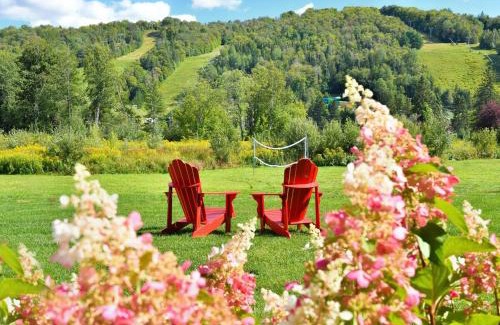 Saint-Sauveur Apartment | Chic condo at the foot of the slopes of Saint-Sauveur