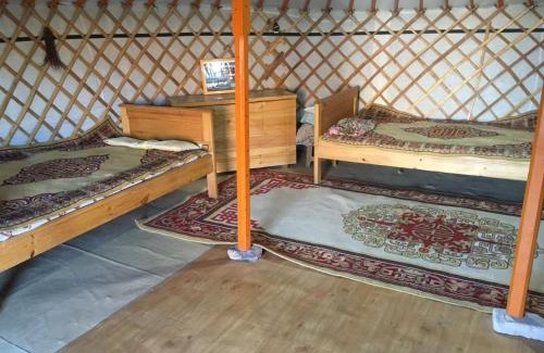 Dalanzadgad House | chimgee guesthouse