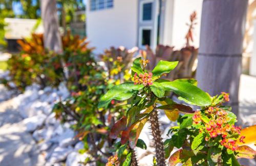 Ensenada House | Chris Guest House