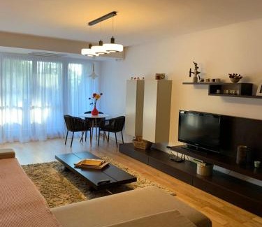 Cioplea Apartment | Cioplea View