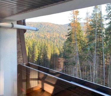 Cioplea Apartment | Cioplea View