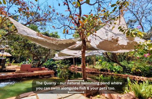 Anjuna Hotel | Circle