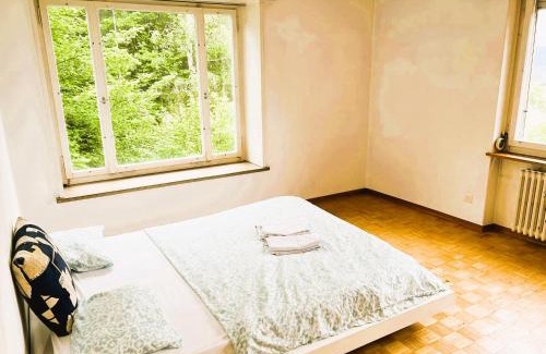 Oberstrass Apartment | City Center Flats with Balcony Garden View Rigi Self Checkin