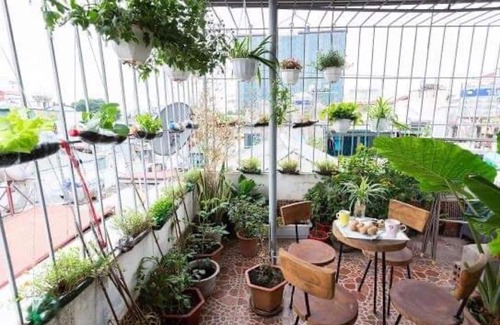 Đien Bien House | City center homestay with natural garden