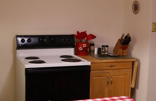Manitowoc Apartment | Clean and cute 2 bedroom upper with garden view. Froedtert Hospital blocks away.