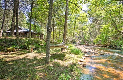 McDowell House | Clearwater Cabin on 10 Acres with Trout Stream!