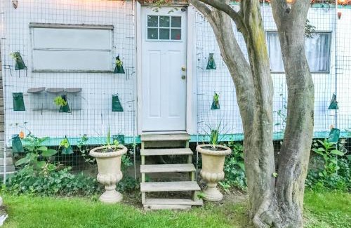 Ewing House | Co-ed Dorm with Fantastic Patio!