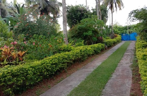 Mysore Other | Coco Palms Homestay