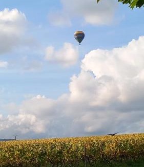 Villie-Morgon Bed & Breakfast | Cocon de Morgon