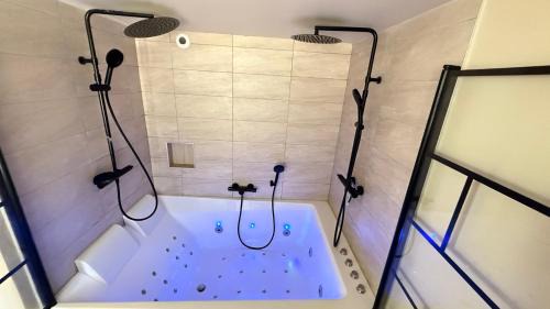 Laval Apartment | COCON Mayennais - Loft Balnéo Laval - Loveroom