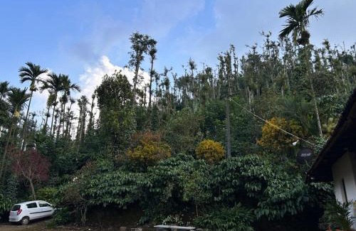 Mudigere Villa | Coffee Vana Vintage Inn
