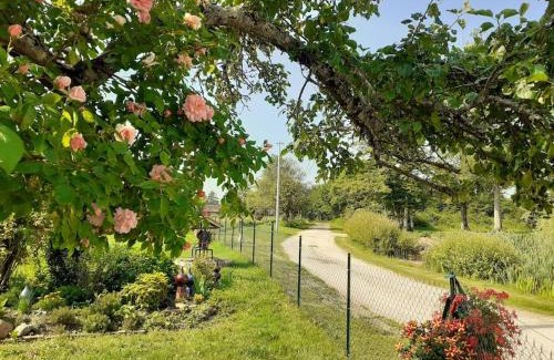 Dracy House | Coin de nature en Puisaye