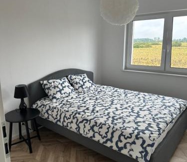 Olawa Apartment | ColourApartament