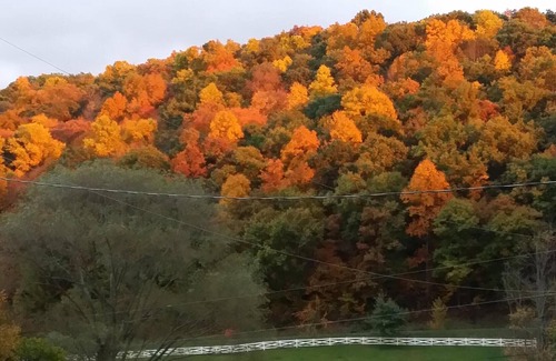 Wytheville Cabin | Come stay in our cabin and experience the tranquility of the countryside!