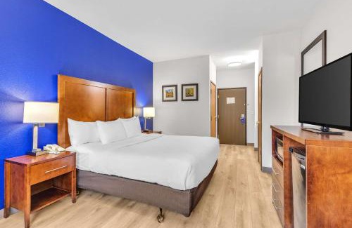 Wheat Ridge Hotel | Comfort Inn Denver West Arvada Station