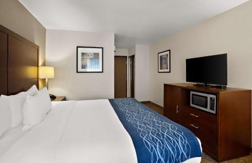 Lacey Hotel | Comfort Inn Lacey - Olympia