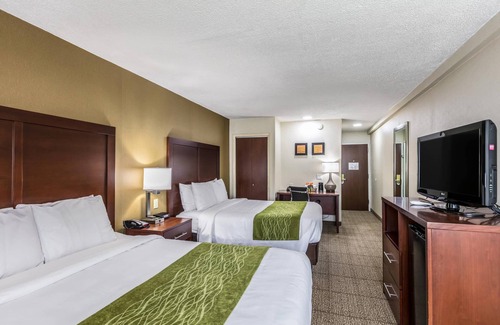 Medford Hotel | Comfort Inn Medford - Long Island